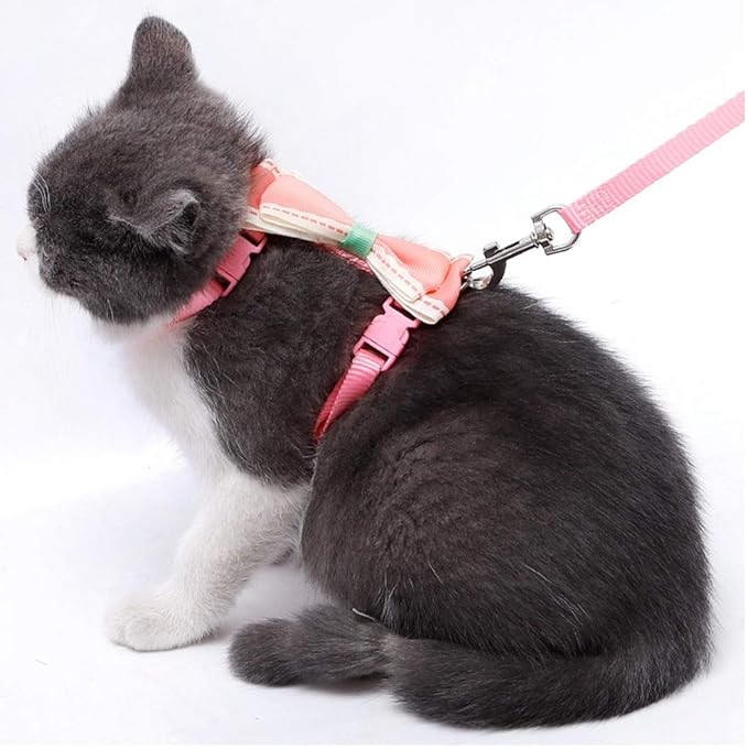 Pets Empire Cat Strap Cute Bowknot Escape Proof Cat Collar